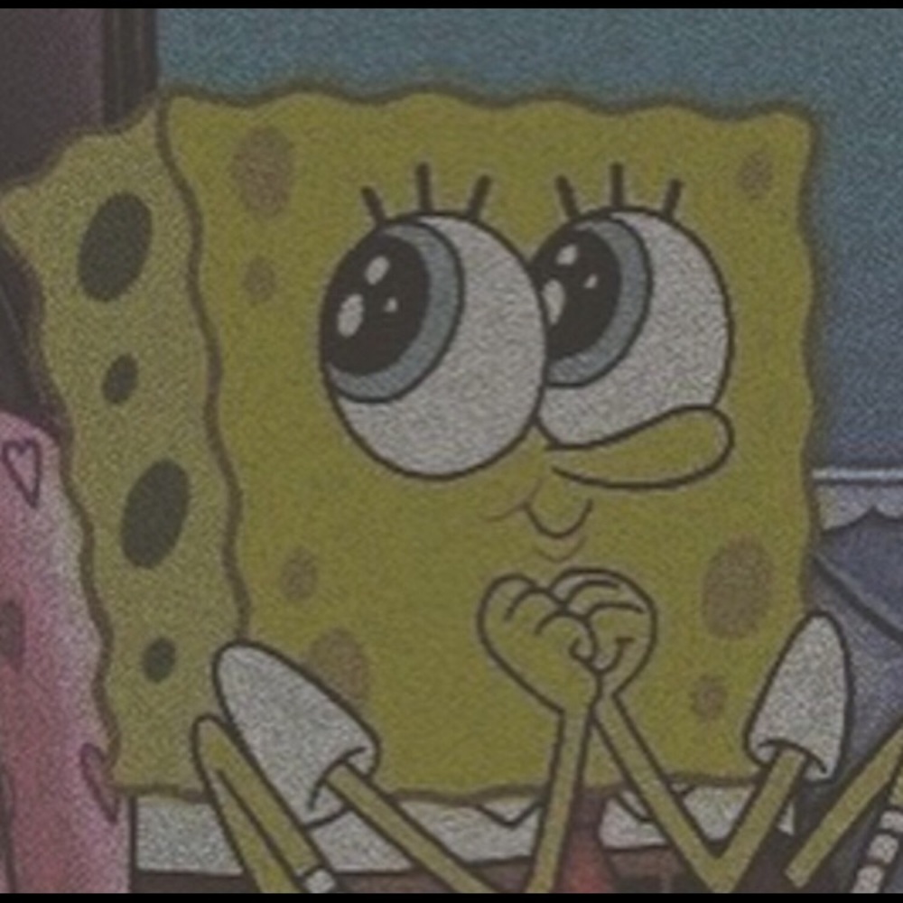 Meet your Posher, Nyla